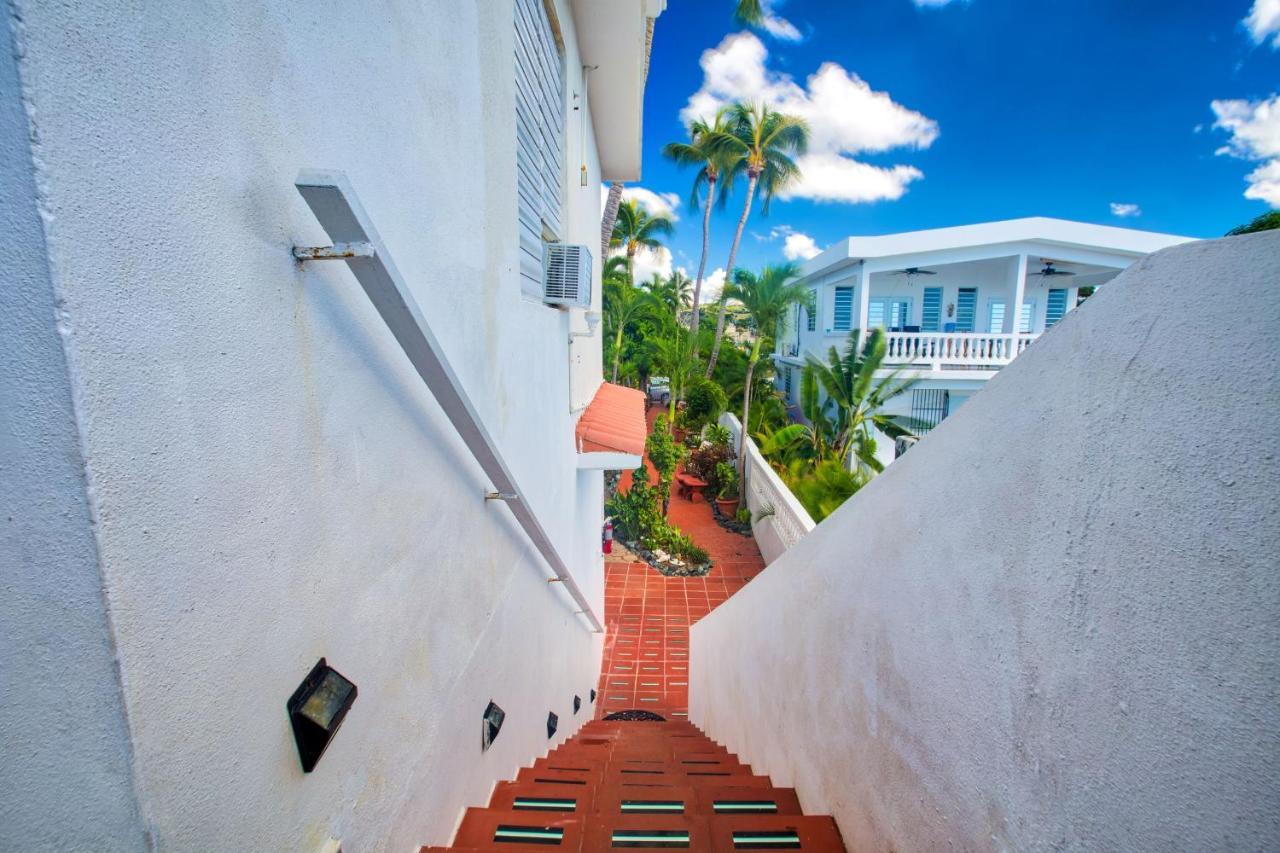Coconut Palms Inn Rincon Εξωτερικό φωτογραφία