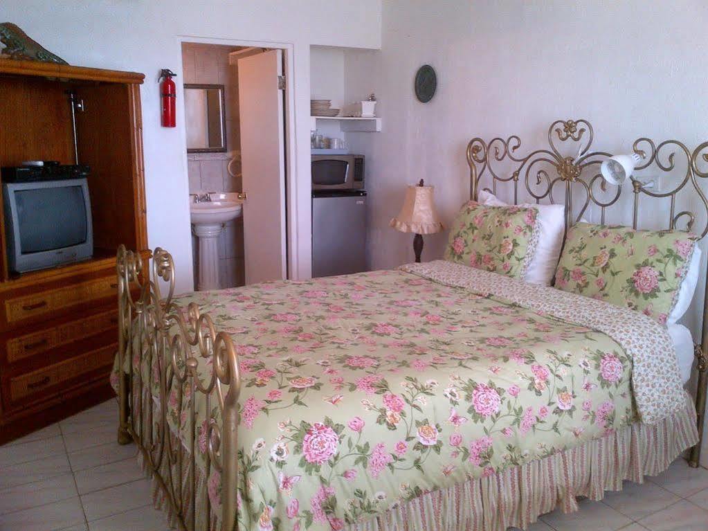 Coconut Palms Inn Rincon Εξωτερικό φωτογραφία