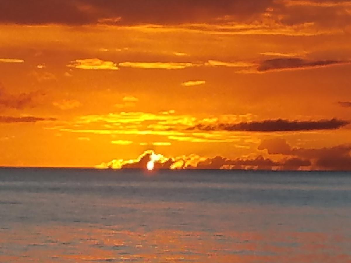 Coconut Palms Inn Rincon Εξωτερικό φωτογραφία