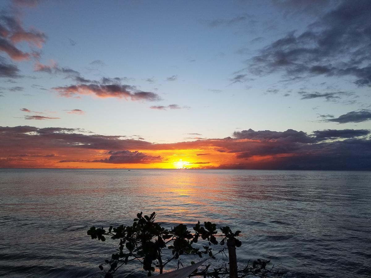 Coconut Palms Inn Rincon Εξωτερικό φωτογραφία