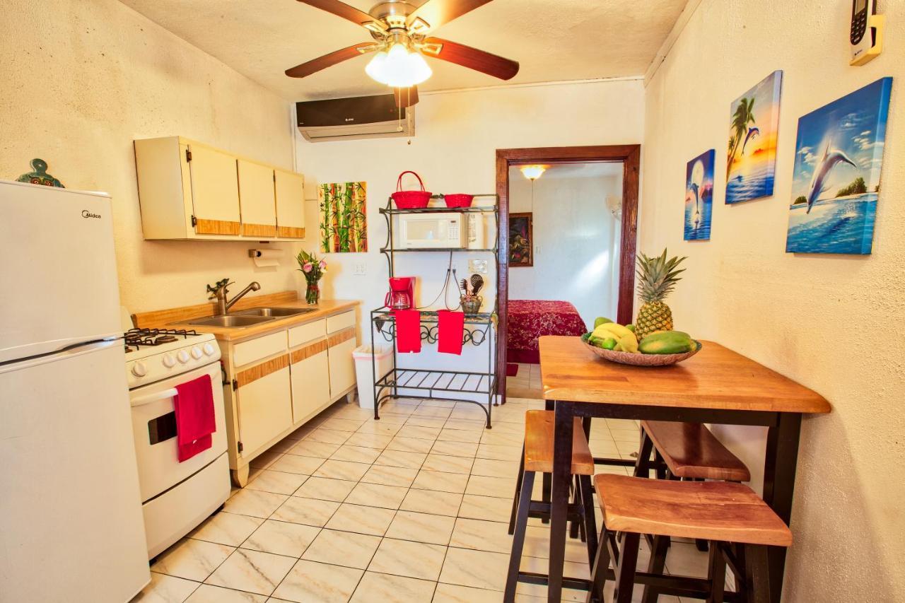 Coconut Palms Inn Rincon Εξωτερικό φωτογραφία