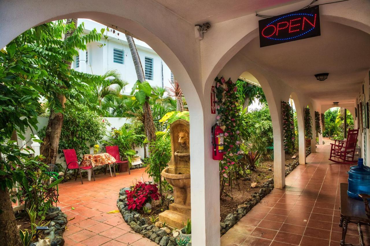 Coconut Palms Inn Rincon Εξωτερικό φωτογραφία